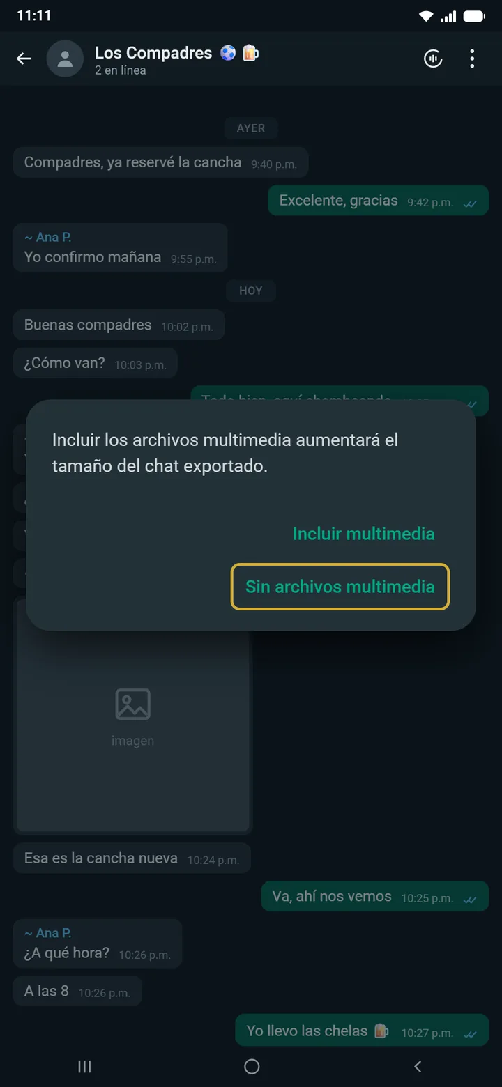Diálogo multimedia — Sin archivos multimedia